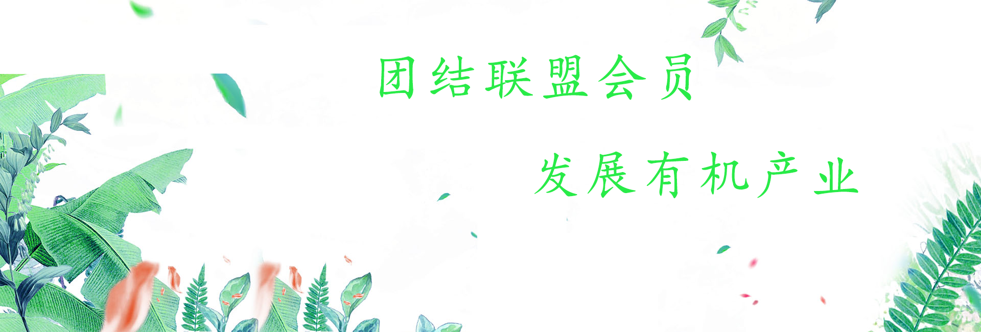 团结联盟会员,发展有机产业