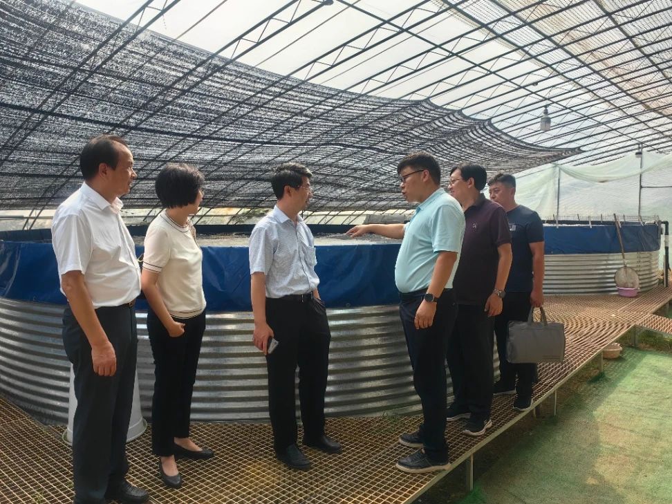农业农村部一行到我区参观考察鱼菜共生项目